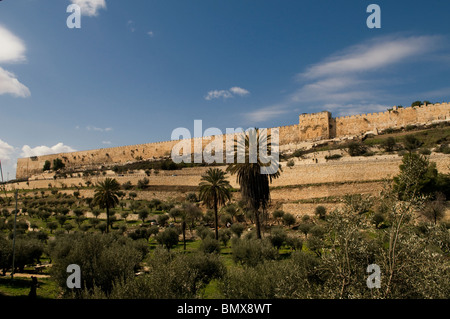 Vue sur la vallée de Kidron ou Wadi an-Narthe des murs ottomans entourant le bord est de la vieille ville de Jérusalem-est d'Israël Banque D'Images