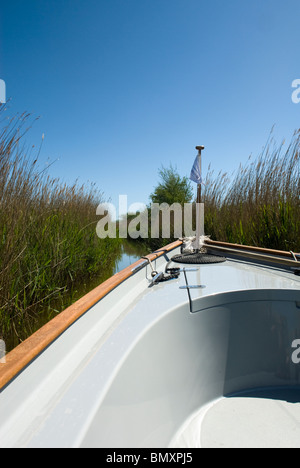 Un canal étroit dans les roseaux sur la Hickling Broad, les Norfolk Broads, Norfolk, Angleterre. Banque D'Images