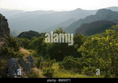 Mountans brumeux, forêt verte, Sinite Kamani, montagne de Karandila, région de Sliven, Bulgarie, Europe de l'est Banque D'Images