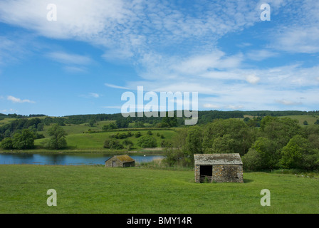 Esthwaite Water, près de Hawkshead, Parc National de Lake District, Cumbria, Angleterre, Royaume-Uni Banque D'Images