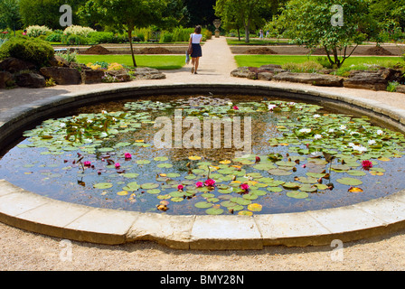 L'étang dans le jardin botanique, Oxford, Angleterre Banque D'Images