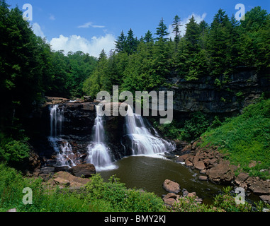 Le parc d'état de Blackwater Blackwater Falls WV, sur la rivière Blackwater en été près de la ville de Davis, West Virginia Banque D'Images