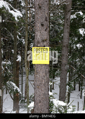 Une propriété privée jaune signe sur un arbre dans la forêt en hiver Banque D'Images