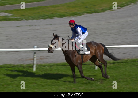 Menant le galop horse and jockey motion contre l'arrière-plan flou. L'horizontale Banque D'Images