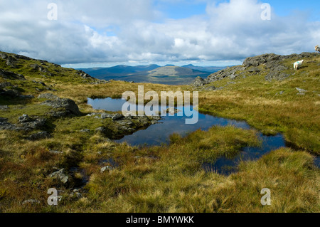 Le Rhinog Aran Benllyn de collines dans les montagnes d'Aran, près de Bala, Snowdonia, le Nord du Pays de Galles, Royaume-Uni Banque D'Images