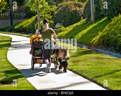 La santé de la jeune mère de jumeaux se heurte à une colline escarpée dans Laguna Niguel, California, poussant leur poussette et tenant deux chiens. Banque D'Images