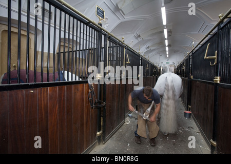 L'école espagnole d'Équitation de Vienne, Autriche Banque D'Images