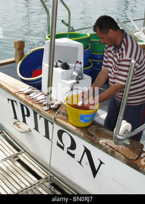 Nettoyage du pêcheur poisson frais. Le port de La Canée, Crète, Grèce Banque D'Images