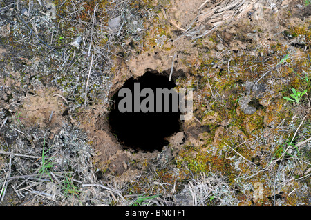 La saleté de la terre brune avec un profond trou noir circulaire dans le sol Banque D'Images