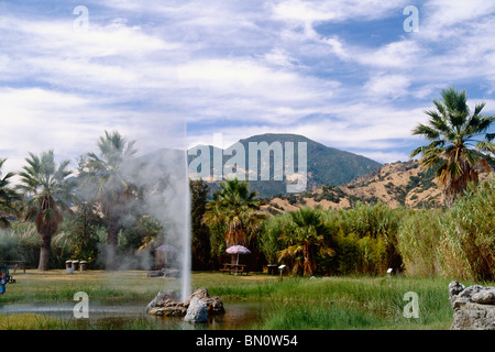 California's Old Faithful Geyser, calistoga, Napa Valley, Californie Banque D'Images