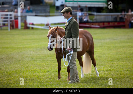 Le Grand Royal Highland Show 2010  Scottish Agricultural Society of Scotland, UK tenue à Ingliston, Édimbourg, Écosse, Royaume-Uni Banque D'Images