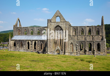 Abbaye de Tintern, South Wales, UK Banque D'Images