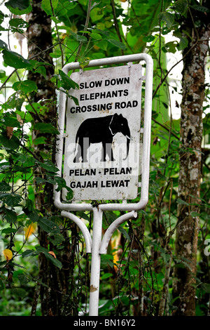 Un panneau à Taro, près de Ubud, Bali, avertissement d'éléphants traverser la route Banque D'Images