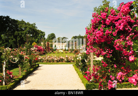 Bois de Boulogne, parc de Bagatelle, jardin des roses et l'orangerie. Parc de Bagatelle, Paris, France. Banque D'Images