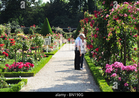 Bois de Boulogne, parc de Bagatelle, jardin des roses et l'orangerie. Parc de Bagatelle, Paris, France. Banque D'Images