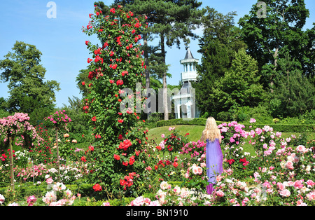 Bois de Boulogne, parc de Bagatelle, jardin des roses et l'orangerie. Parc de Bagatelle, Paris, France. Banque D'Images