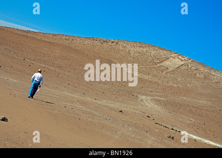 El Gigante de Atacama (le géant de l'Atacama), un géoglyphe sur Unitas Hill. Désert d'Atacama, au nord du Chili, 84kms d'Iquique Banque D'Images
