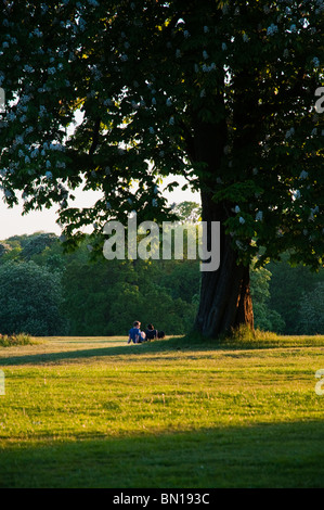 Couple in Cassiobury Park, Watford, Hertfordshire, Royaume-Uni Banque D'Images