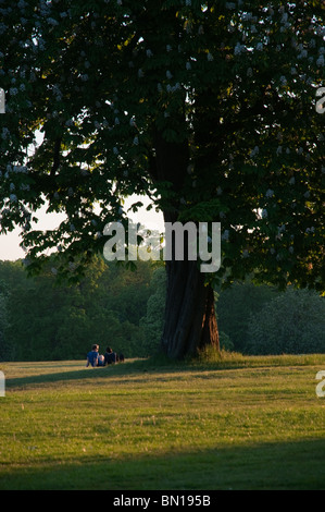 Couple in Cassiobury Park, Watford, Hertfordshire, Royaume-Uni Banque D'Images