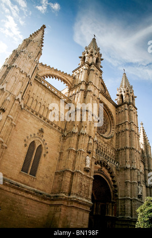 À la recherche jusqu'à l'avant de la cathédrale de Palma, Majorque Banque D'Images