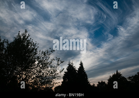 Ciel bleu avec des nuages filandreux Banque D'Images