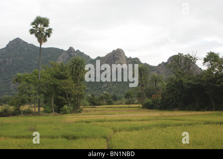 Collines granitiques dans Zharkhand, entouré de rizières Banque D'Images