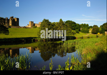 Château d'Alnwick, rivière Aln Banque D'Images