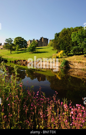 Château d'Alnwick, rivière Aln Banque D'Images