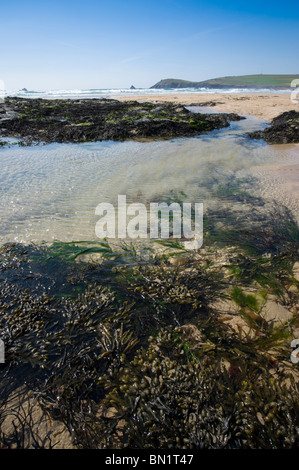 Rockpools et plage à Constantine Bay, Cornwall, UK Banque D'Images