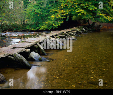 L'ancien pont Battant Tarr comme suit sur la rivière Barle dans Exmoor National Park près de Liscombe, Somerset, Angleterre. Banque D'Images