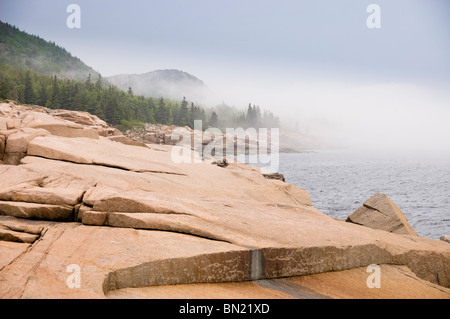 Rivage rocheux de granit sur la côte Atlantique, près de Thunder Hole, l'Acadia National Park, Maine, USA. Banque D'Images