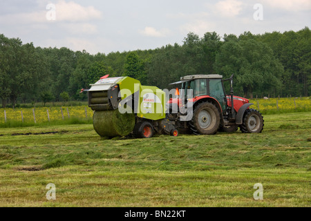 La collecte d'herbe fraîchement coupée et mécaniquement par la rotation de stockage des balles prêt pour. Banque D'Images