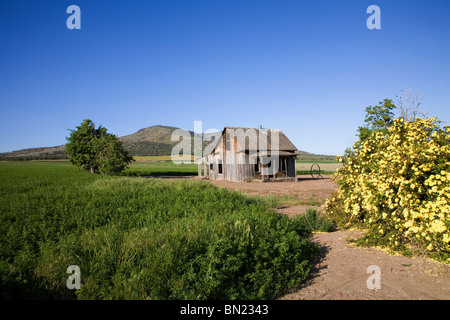 L'époque de la dépression, une ferme, près de la ville de Culver dans le centre de l'Oregon. Banque D'Images