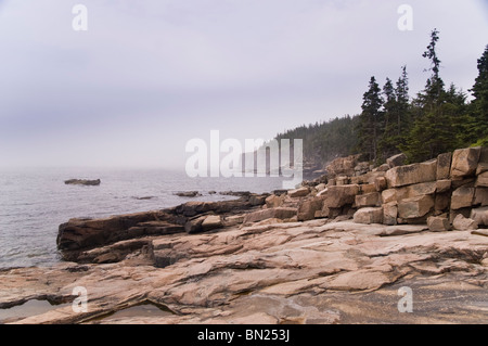 Rivage rocheux de granit sur la côte Atlantique, près de Thunder Hole, l'Acadia National Park, Maine, USA. Banque D'Images