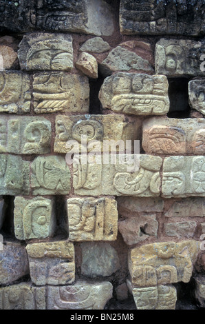 Les glyphes mayas stone du Maya ruines de Copan, Honduras Banque D'Images