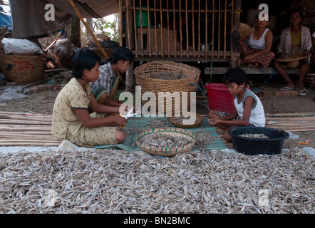 Le Myanmar. La Birmanie. Visite du village de Tübingen Gyi dans l'Ayeryarwady delta. Cyclone Nargis : conséquences Banque D'Images