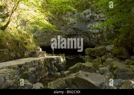 Yr Ogof Afon, Porth, Ystradfellte Mellte, parc national de Brecon Beacons, Powys, Pays de Galles, Royaume-Uni, Europe Banque D'Images