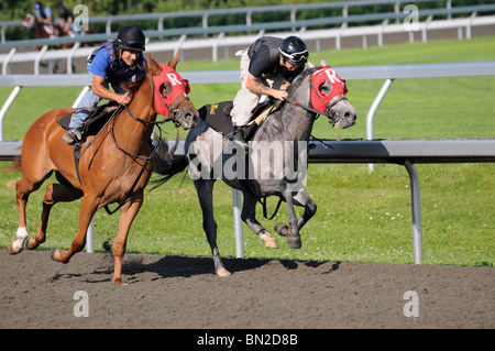 Chevaux pur-sang et de l'exercice au jockey hippodrome Keeneland de Lexington, Kentucky USA Banque D'Images