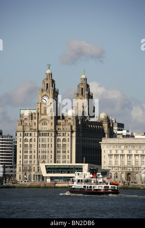 Ville de Liverpool, en Angleterre. Royal Liver Building at Liverpool's Pier Head waterfront avec le Mersey Ferry dans l'avant-plan. Banque D'Images