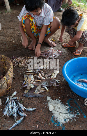 Le Myanmar. La Birmanie. Visite du village de Tübingen Gyi dans l'Ayeryarwady delta. Cyclone Nargis : conséquences Banque D'Images