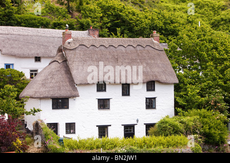 Chaumières dans Cadgwith Cornish, un joli village de pêcheurs sur le lézard, UK. Banque D'Images