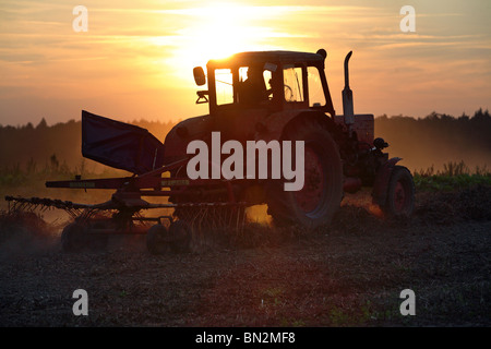 Tracteur tournant sur un champ de foin au coucher du soleil, Prangendorf, Allemagne Banque D'Images