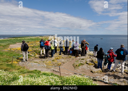 Les ornithologues amateurs et les excursionnistes sur Inner Farne Farne, l'un des groupe d'îles au large de la côte de Northumberland Banque D'Images