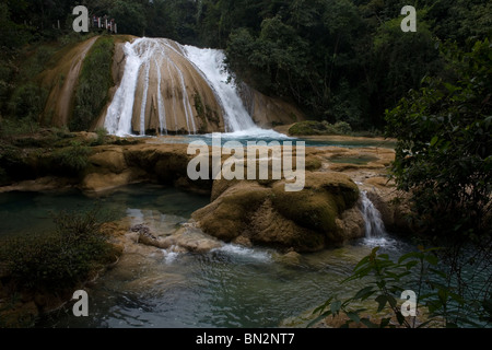 Les chutes d'Agua Azul dans Tumbala, Chiapas, Mexique Banque D'Images