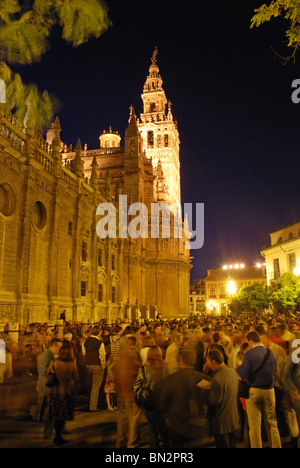 Cathédrale et Giralda illuminée la nuit, Séville, Séville, Andalousie, province de l'Espagne, l'Europe de l'Ouest. Banque D'Images