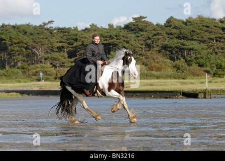 Équitation à travers vasière Banque D'Images
