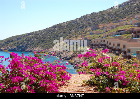 Belle vue sur villas hotel de luxe, Crète, Grèce (l'accent est mis sur les fleurs) Banque D'Images