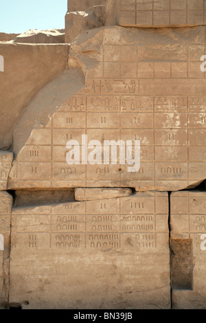 Les hiéroglyphes de l'Égypte ancienne en particulier de chiffres, Temple de Karnak, Louxor en Haute Egypte Banque D'Images