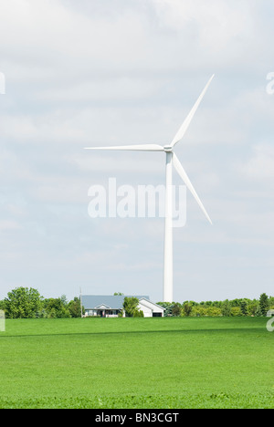 Les éoliennes situées sur des terres agricoles près de Lake Benton au Minnesota Banque D'Images