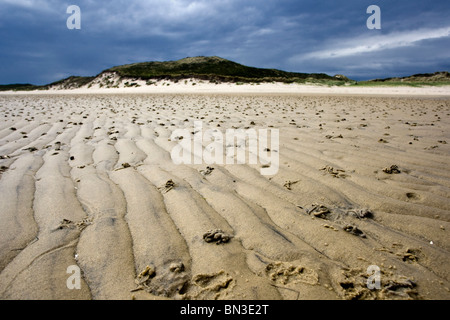 La mer des Wadden, à marée basse, Sylt, Allemagne Banque D'Images